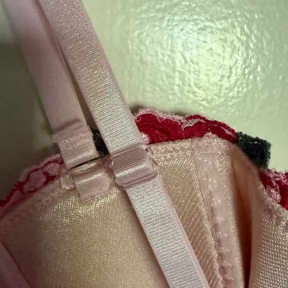 Fredrick's Of Hollywood Pink Floral Embroidered Corset Size 32 Coquette - Picture 11 of 16